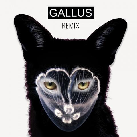 True Feeling (GALLUS Remix)