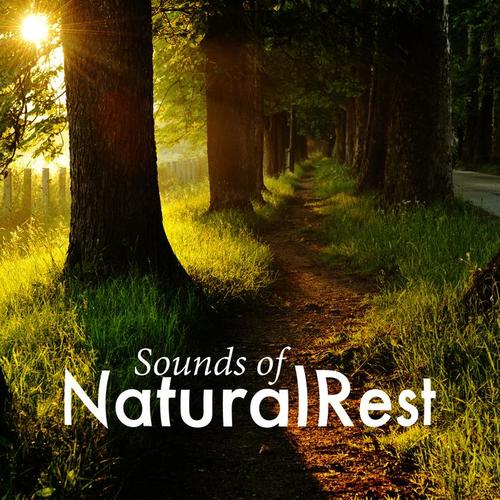 Sounds of Natural Rest