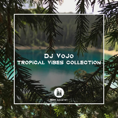 Tropical Vibes Collection