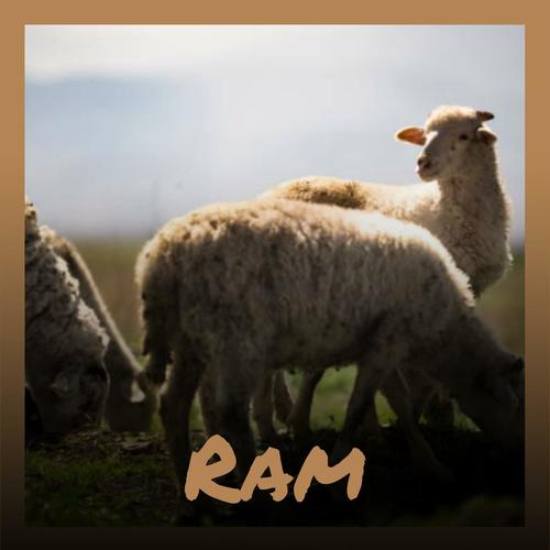 Ram