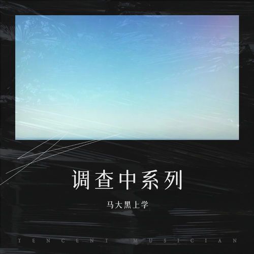 调查中系列