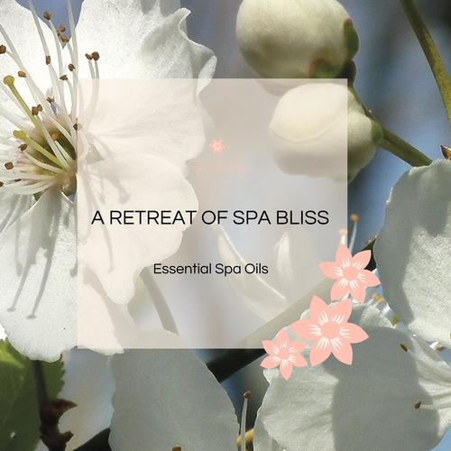 A Retreat Of Spa Bliss - Essential Spa Oils