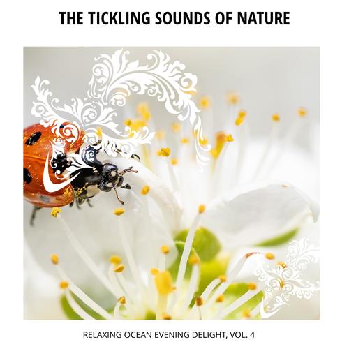 The Tickling Sounds of Nature - Relaxing Ocean Evening Delight, Vol. 4