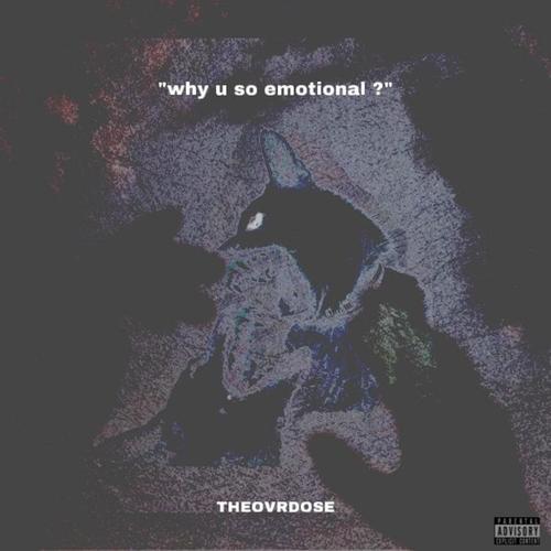 why u so emotional ? (Explicit)