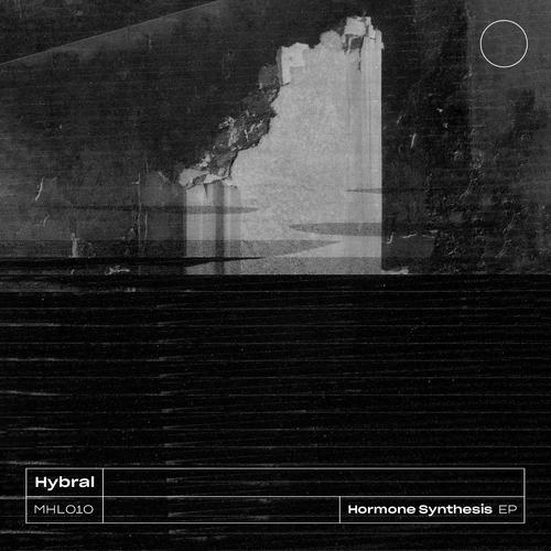 Hormone Synthesis