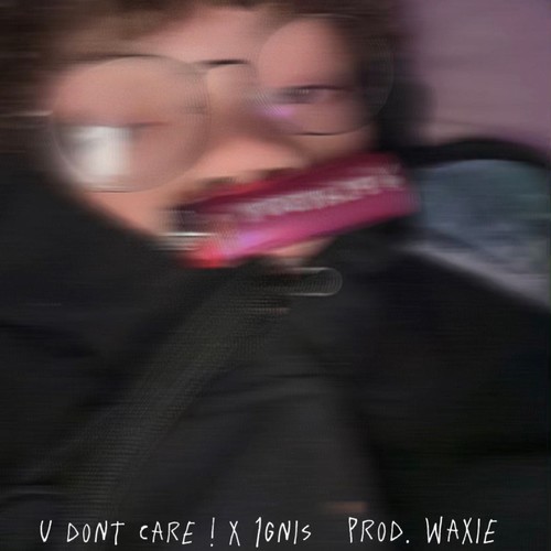 u don't care ! (feat. 1gnis) [Explicit]