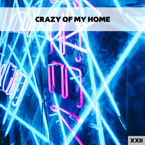 Crazy Of My Home XXII