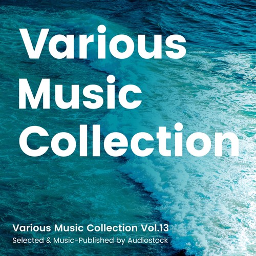 Various Music Collection Vol.13 -Selected & Music-Published by Audiostock-