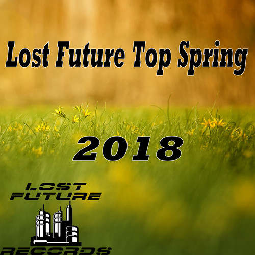 Lost Future Top Spring 2018