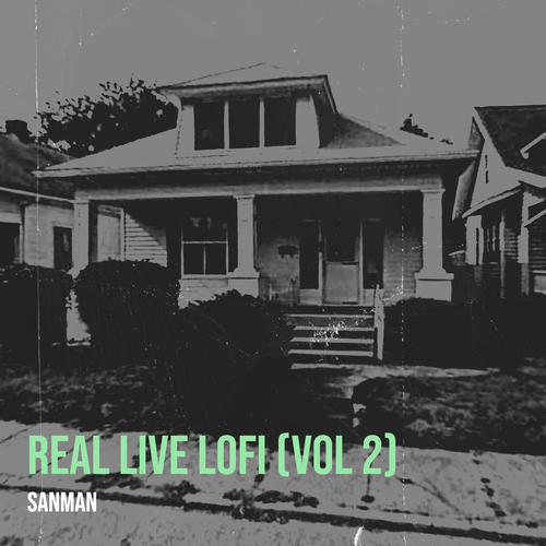 Real Live LoFi, Vol 2