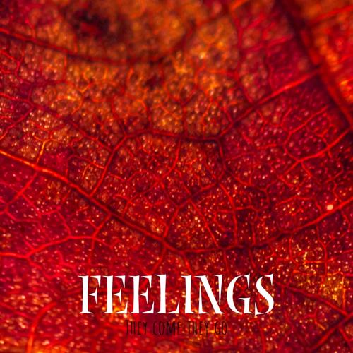 Feelings