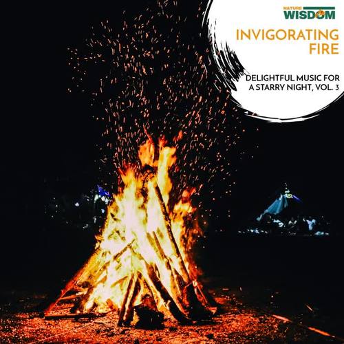 Invigorating Fire - Delightful Music for a Starry Night, Vol. 3