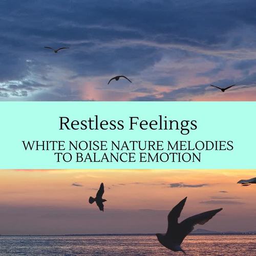 Restless Feelings - White Noise Nature Melodies To Balance Emotion