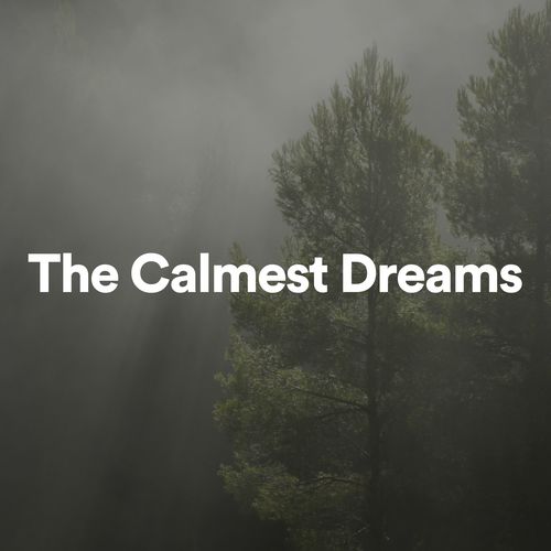 The Calmest Dreams