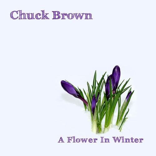 A Flower in Winter