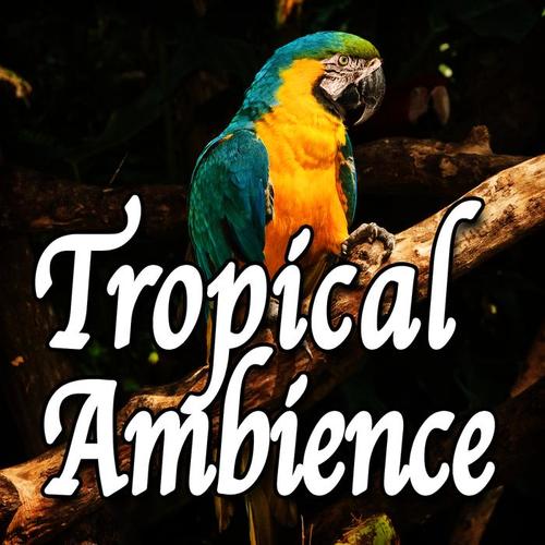 Tropical Ambience (Nature Sounds)