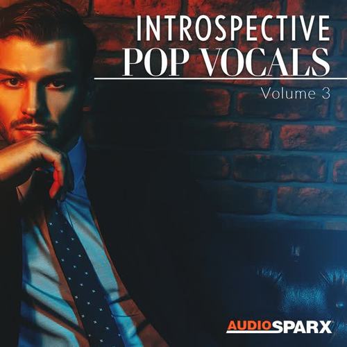 Introspective Pop Vocals Volume 3