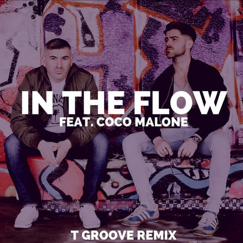 In the Flow (T-Groove Remix)