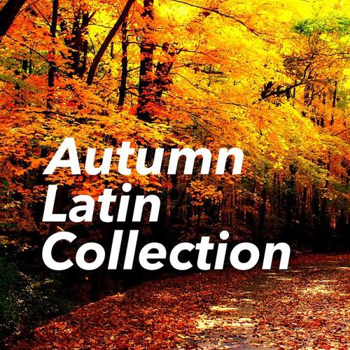 Autumn Latin Collection