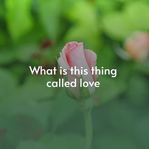 What Is This Thing Called Love