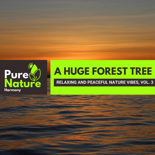A Huge Forest Tree - Relaxing and Peaceful Nature Vibes, Vol. 3