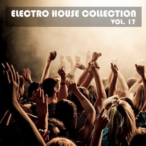 Electro House Collection, Vol. 17