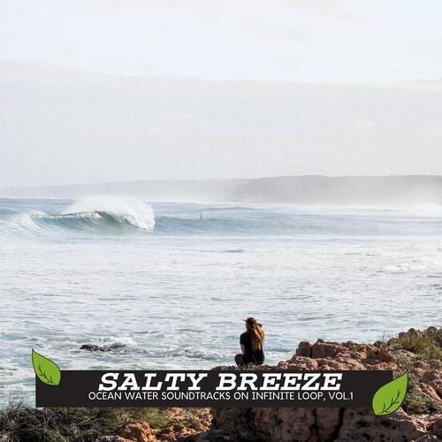 Salty Breeze - Ocean Water Soundtracks on Infinite Loop, Vol.1