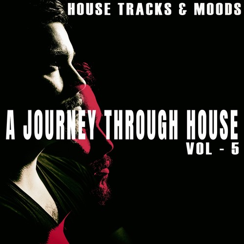 A Journey Through House, Vol. 5