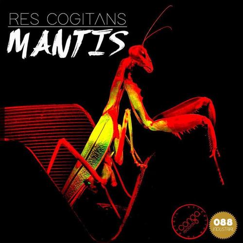 Mantis