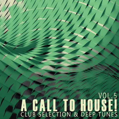 A Call to House!, Vol. 5