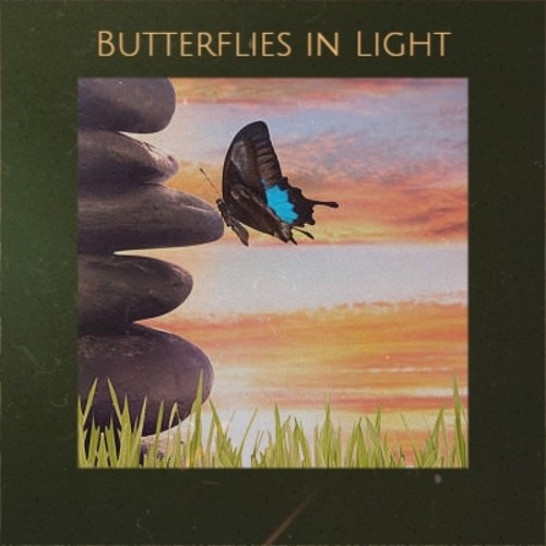 Butterflies in Light