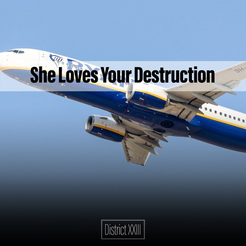 She Loves Your Destruction District XXIII