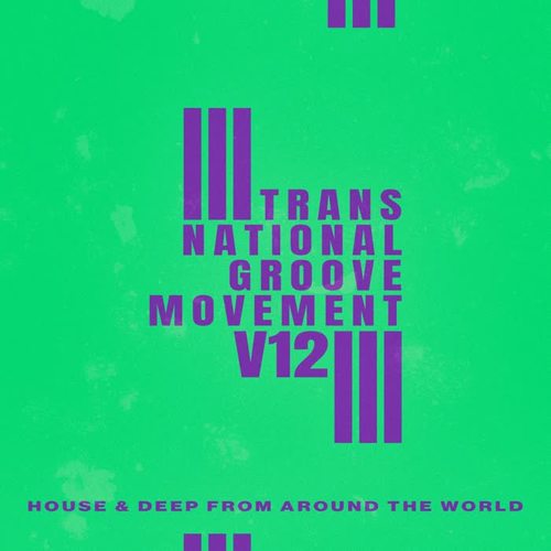 Trans-National Groove Movement - V12