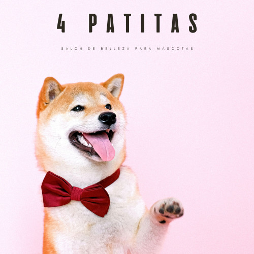 4 Patitas: Salón De Belleza Para Mascotas