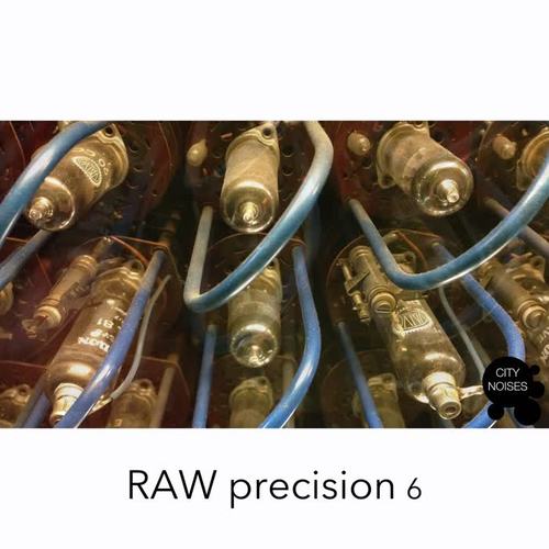 Raw Precision 6