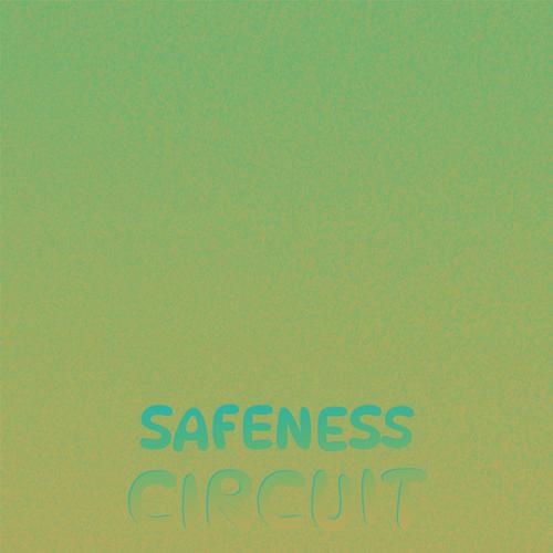 Safeness Circuit