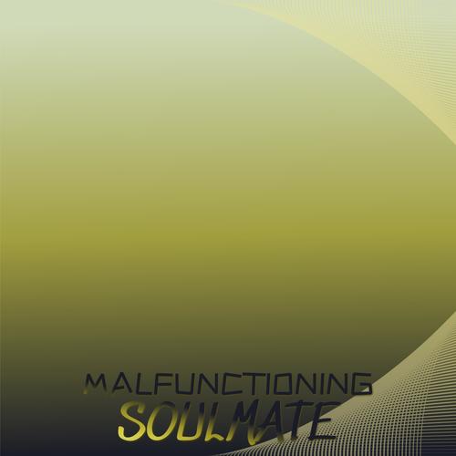 Malfunctioning Soulmate