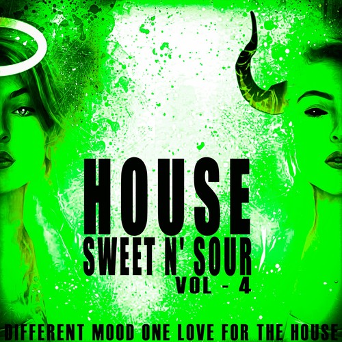 House Sweet N' Sour, Vol. 4