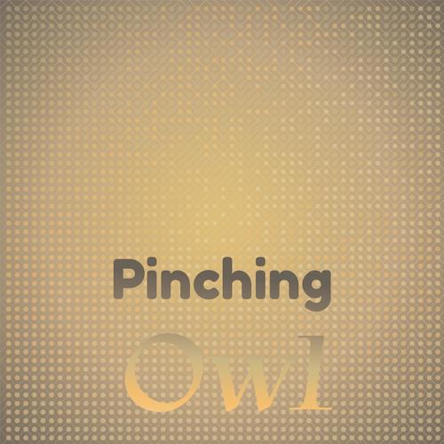 Pinching Owl