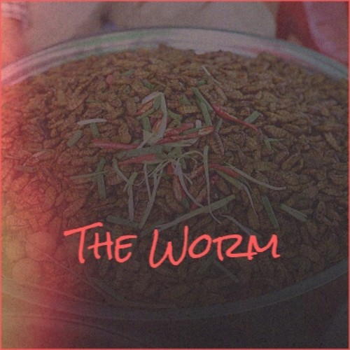 The Worm