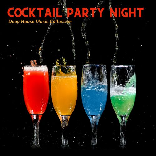 Cocktail Party Night - Deep House Music Collection