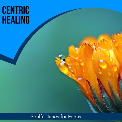 Centric Healing - Soulful Tunes For Focus