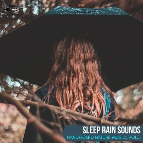 Sleep Rain Sounds - Handpicked Nature Music, Vol.5