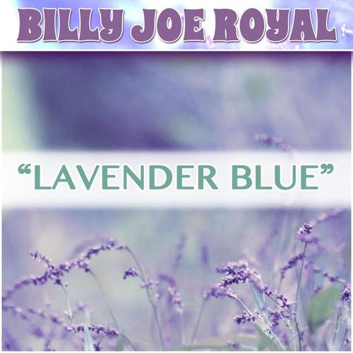 LAVENDER BLUE