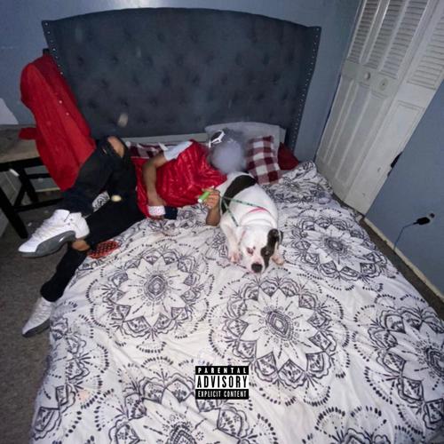 Plug Musik (Explicit)