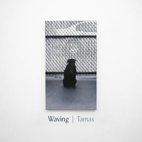Waving