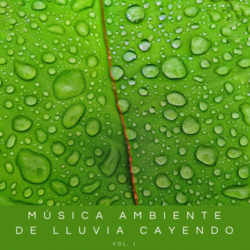 Música Ambiente De Lluvia Cayendo Vol. 1