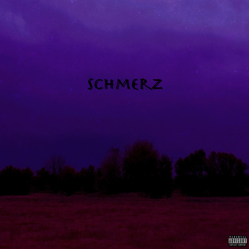 Schmerz (Explicit)