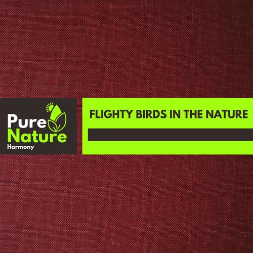 Flighty Birds in the Nature