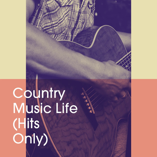 Country Music Life (Hits Only)